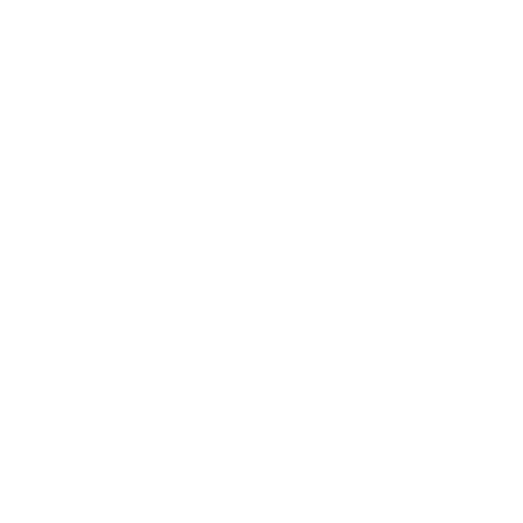 sdnv